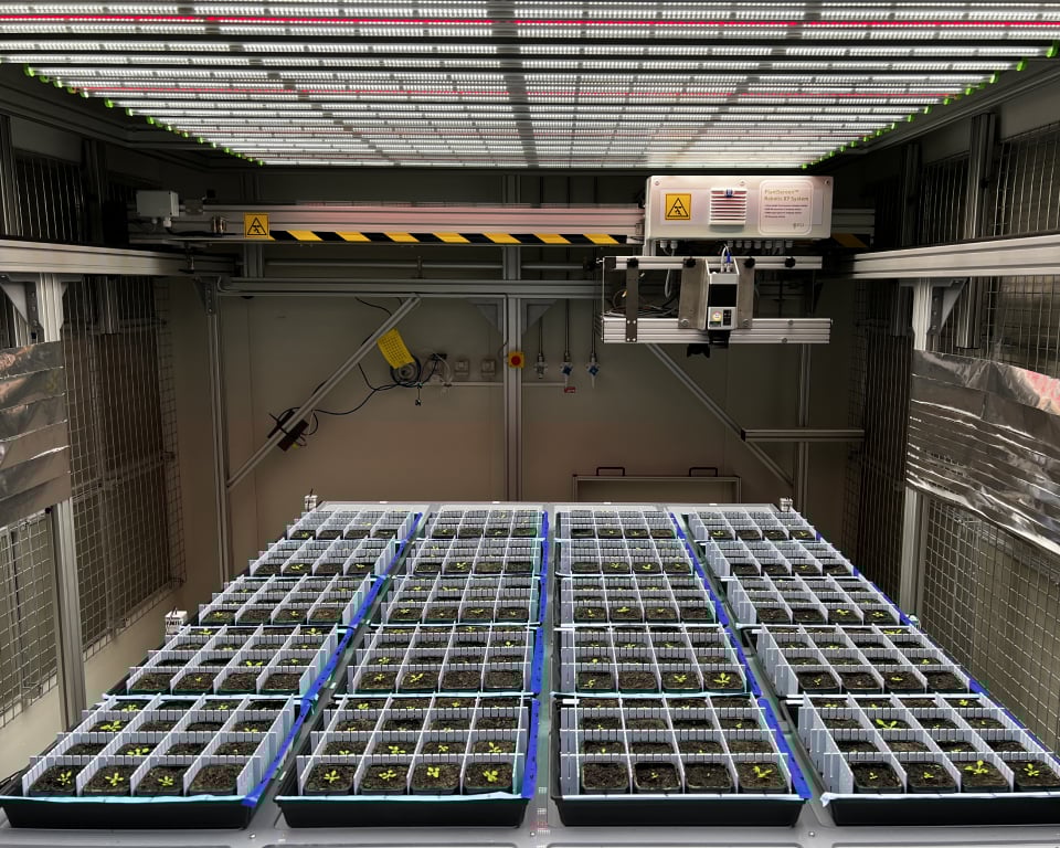 Figure 1: Experimental setup for data collection using an X-Y indoor phenotyping system