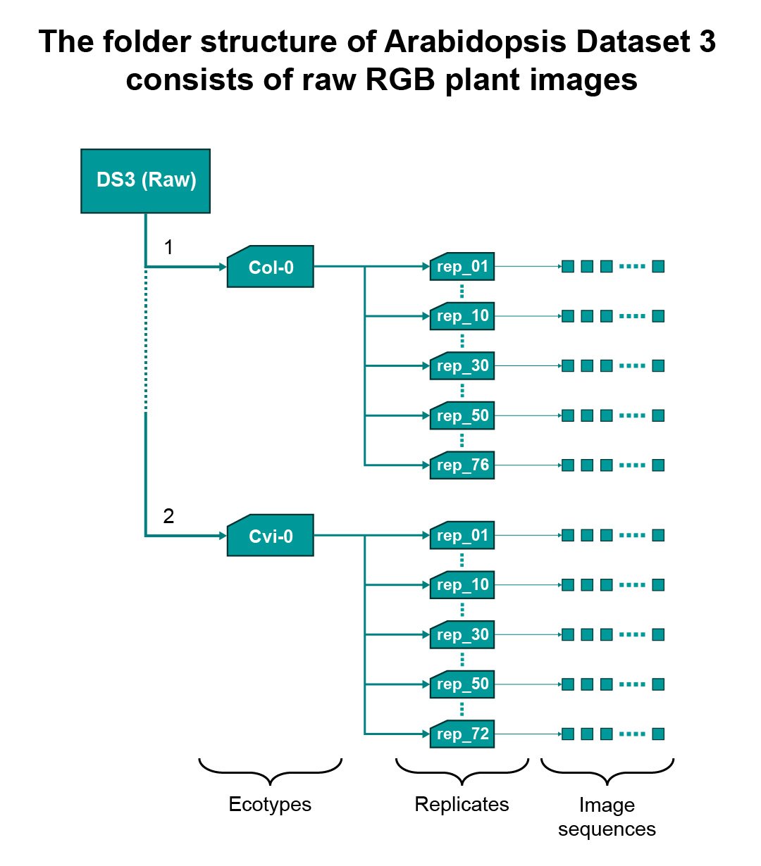 tray cropping and collection